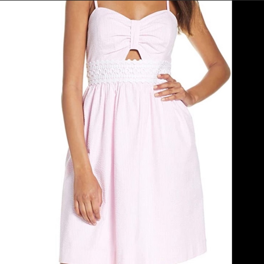 Lilly pulitzer pink capri katlynn dress